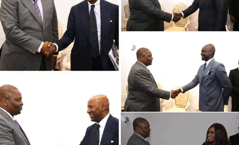 AUDIENCE ACCORDEE A LA DELEGATION DU GROUPE AFRICA OIL & GAS CORPORATION ET PETRO CONGO
